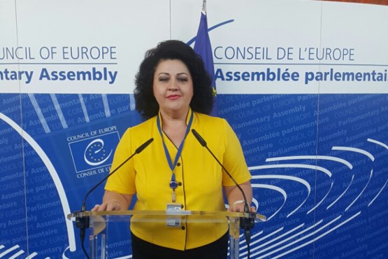 Članica Delegacije PSBiH u PSVE Milica Marković izabrana za predsjedavajuću političke grupe „Slobodni demokrati“ 